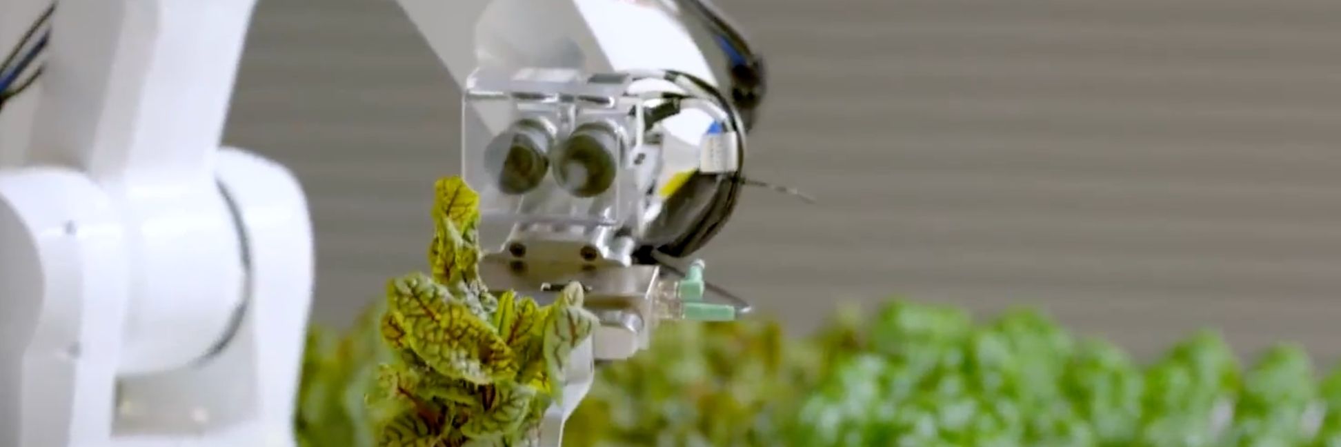 How Future Farming Technologies Help Us Live a Better Life