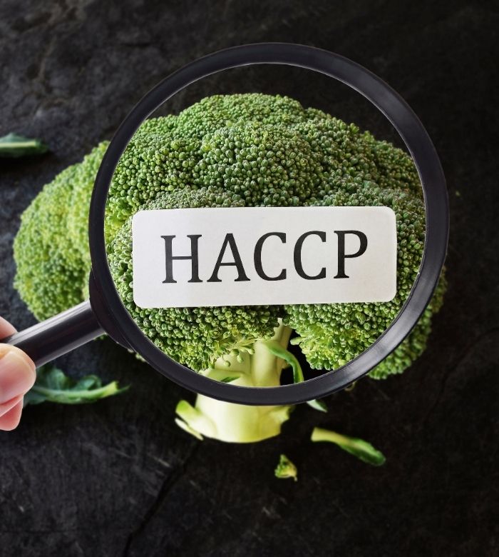 HACCP Refresher Training Food Safety Courses Food Safe